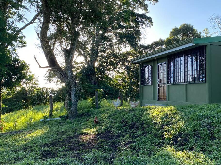 Basecamp Arenal Apart otel Tronadora Dış mekan fotoğraf